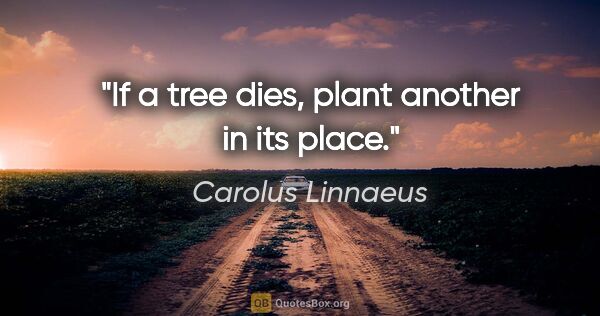 Carolus Linnaeus quote: "If a tree dies, plant another in its place."