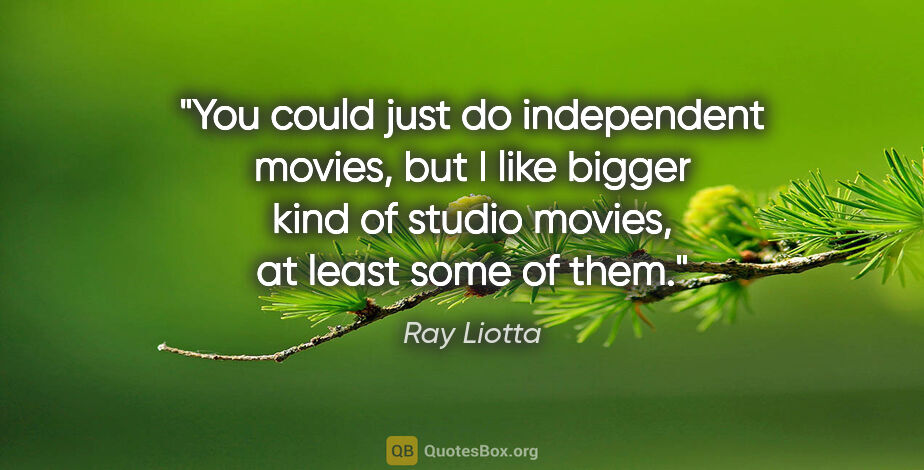 Ray Liotta quote: "You could just do independent movies, but I like bigger kind..."