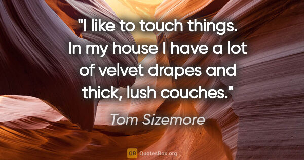 Tom Sizemore quote: "I like to touch things. In my house I have a lot of velvet..."