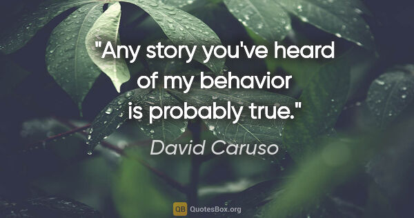 David Caruso quote: "Any story you've heard of my behavior is probably true."