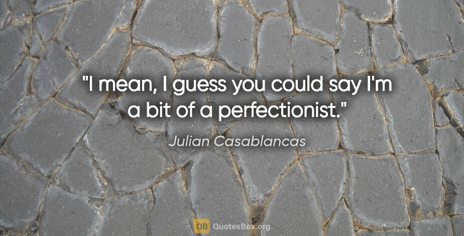 Julian Casablancas quote: "I mean, I guess you could say I'm a bit of a perfectionist."