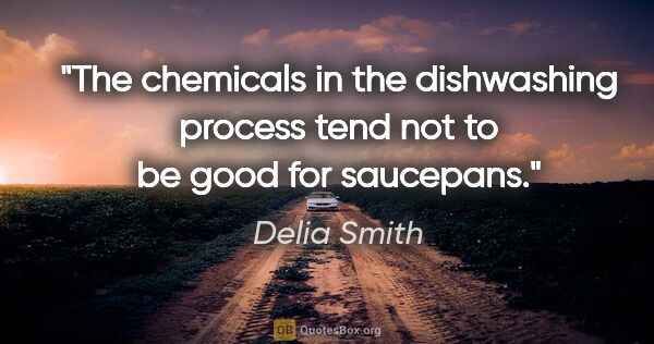 Delia Smith quote: "The chemicals in the dishwashing process tend not to be good..."
