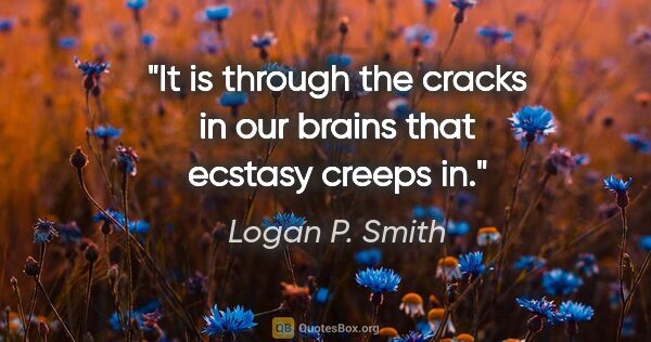 Logan P. Smith quote: "It is through the cracks in our brains that ecstasy creeps in."