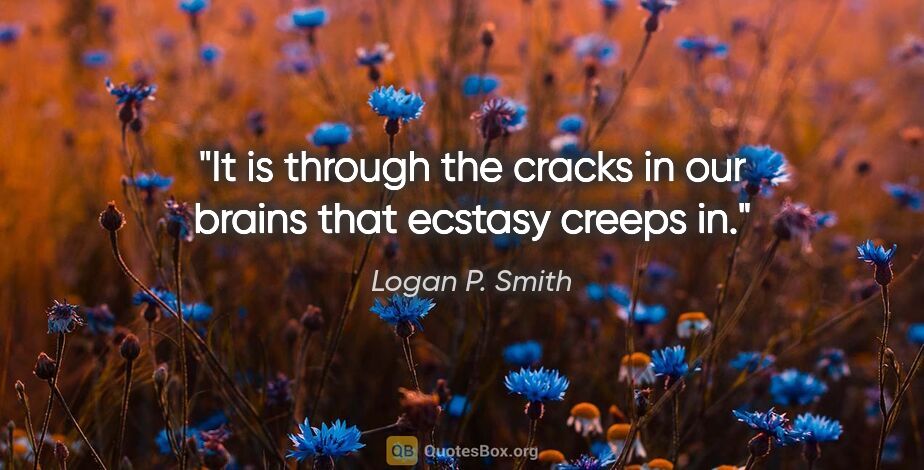 Logan P. Smith quote: "It is through the cracks in our brains that ecstasy creeps in."