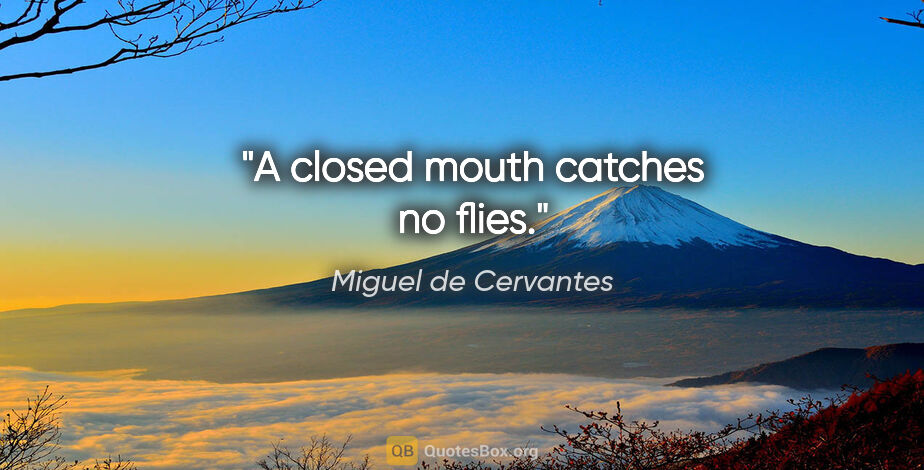 Miguel de Cervantes quote: "A closed mouth catches no flies."
