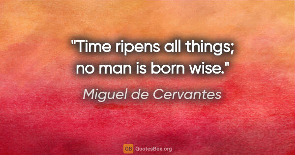 Miguel de Cervantes quote: "Time ripens all things; no man is born wise."