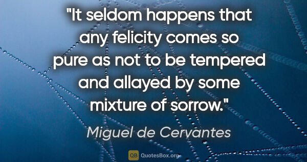 Miguel de Cervantes quote: "It seldom happens that any felicity comes so pure as not to be..."