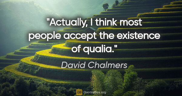 David Chalmers quote: "Actually, I think most people accept the existence of qualia."