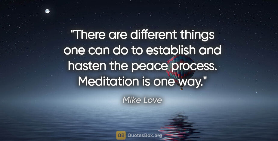 Mike Love quote: "There are different things one can do to establish and hasten..."