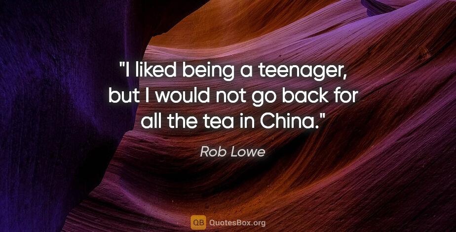Rob Lowe quote: "I liked being a teenager, but I would not go back for all the..."
