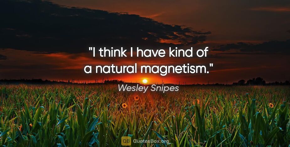 Wesley Snipes quote: "I think I have kind of a natural magnetism."