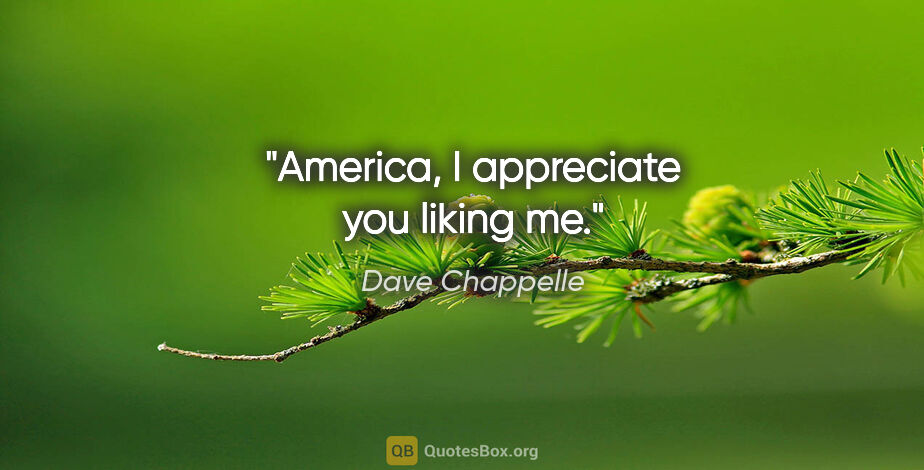 Dave Chappelle quote: "America, I appreciate you liking me."