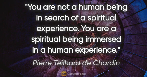 Pierre Teilhard de Chardin quote: "You are not a human being in search of a spiritual experience...."