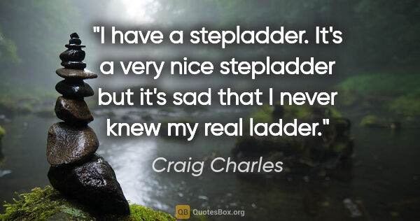 Craig Charles quote: "I have a stepladder. It's a very nice stepladder but it's sad..."
