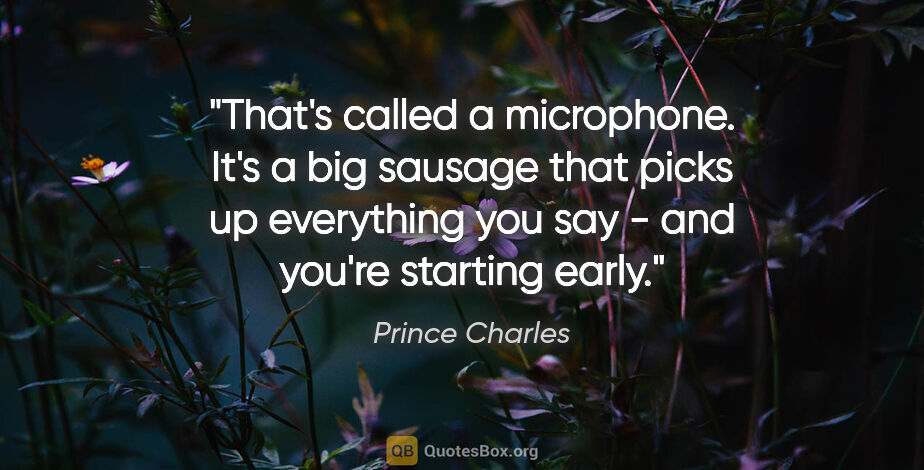 Prince Charles quote: "That's called a microphone. It's a big sausage that picks up..."